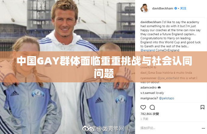 中国GAY群体面临重重挑战与社会认同问题