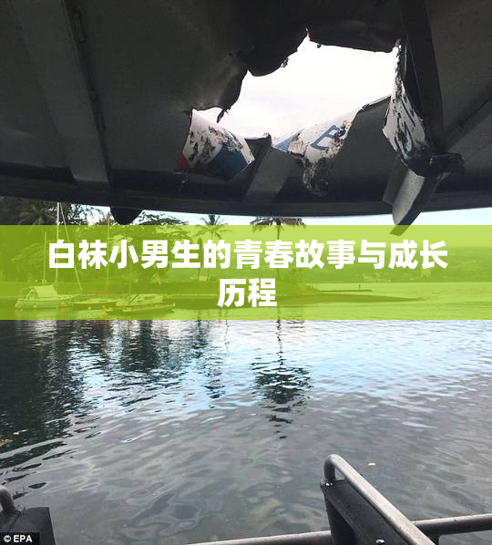 白袜小男生的青春故事与成长历程