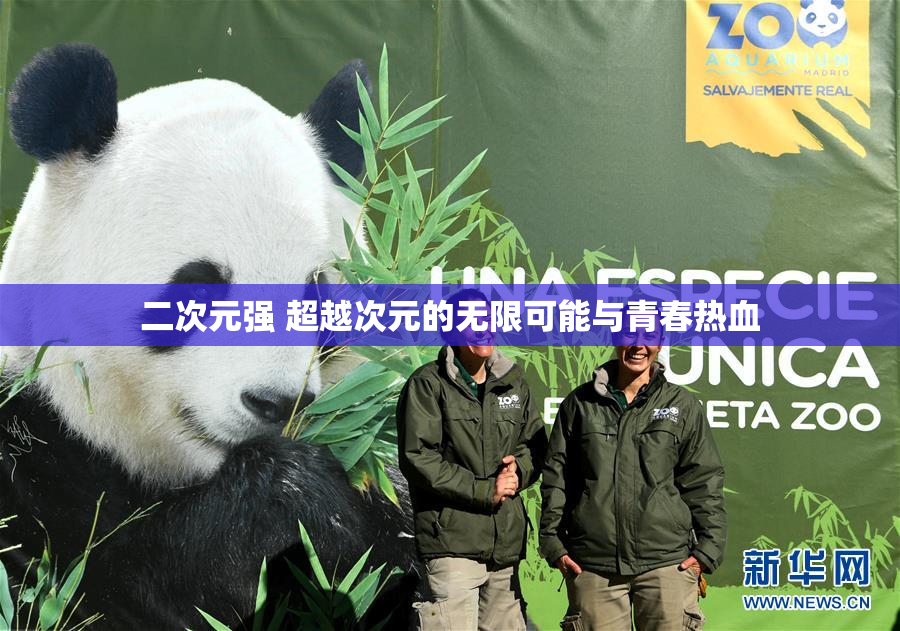 二次元强 超越次元的无限可能与青春热血