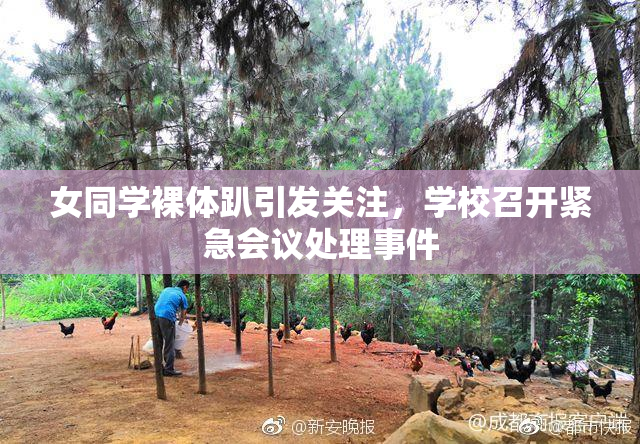 女同学裸体趴引发关注，学校召开紧急会议处理事件