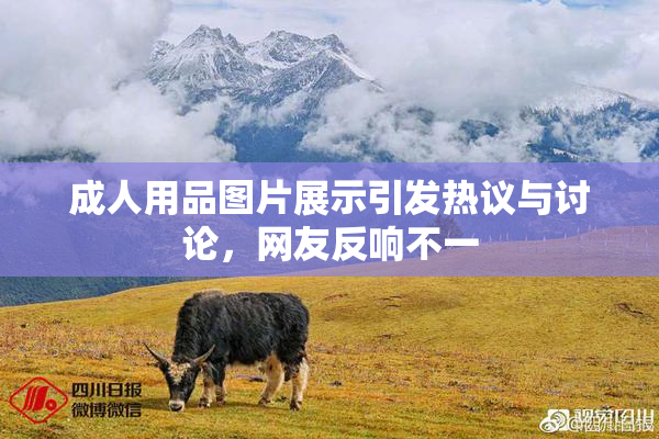 成人用品图片展示引发热议与讨论，网友反响不一