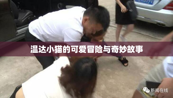 温达小猫的可爱冒险与奇妙故事