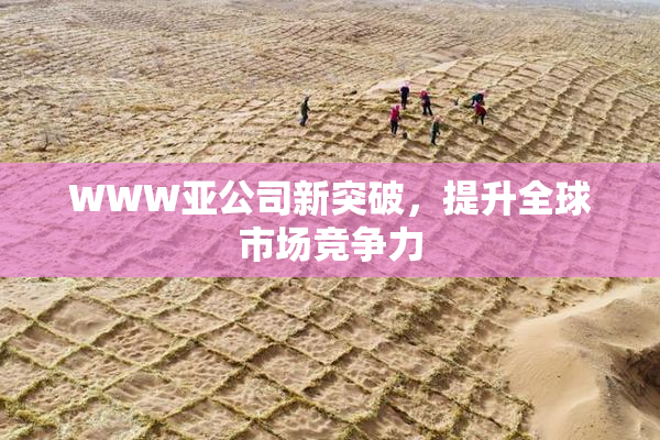 WWW亚公司新突破，提升全球市场竞争力