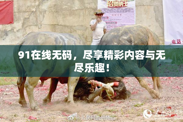 91在线无码，尽享精彩内容与无尽乐趣！