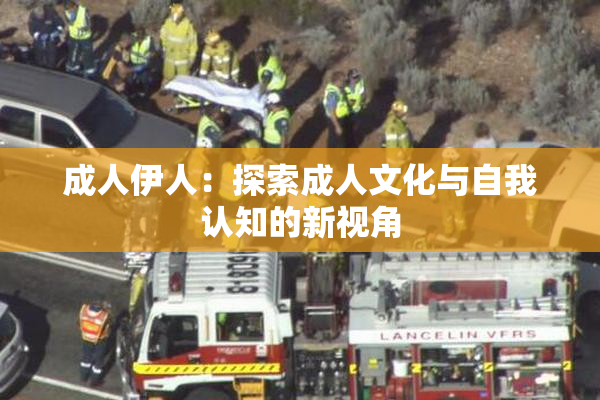 成人伊人：探索成人文化与自我认知的新视角