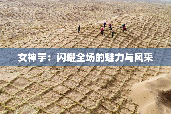 女神芋：闪耀全场的魅力与风采