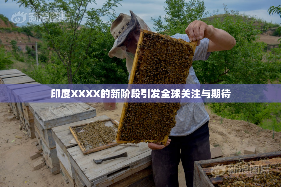 印度XXXX的新阶段引发全球关注与期待