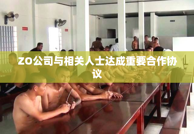 ZO公司与相关人士达成重要合作协议