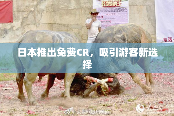 日本推出免费CR，吸引游客新选择