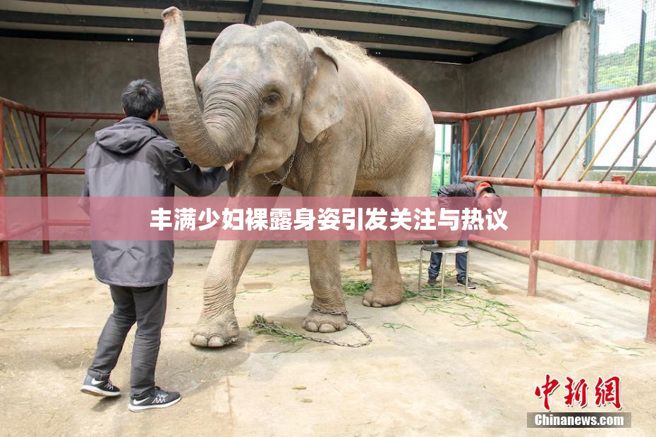 丰满少妇裸露身姿引发关注与热议