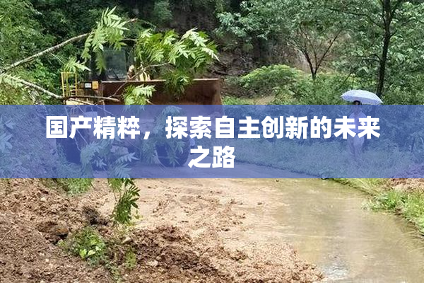 国产精粹，探索自主创新的未来之路