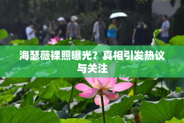 海瑟薇裸照曝光？真相引发热议与关注
