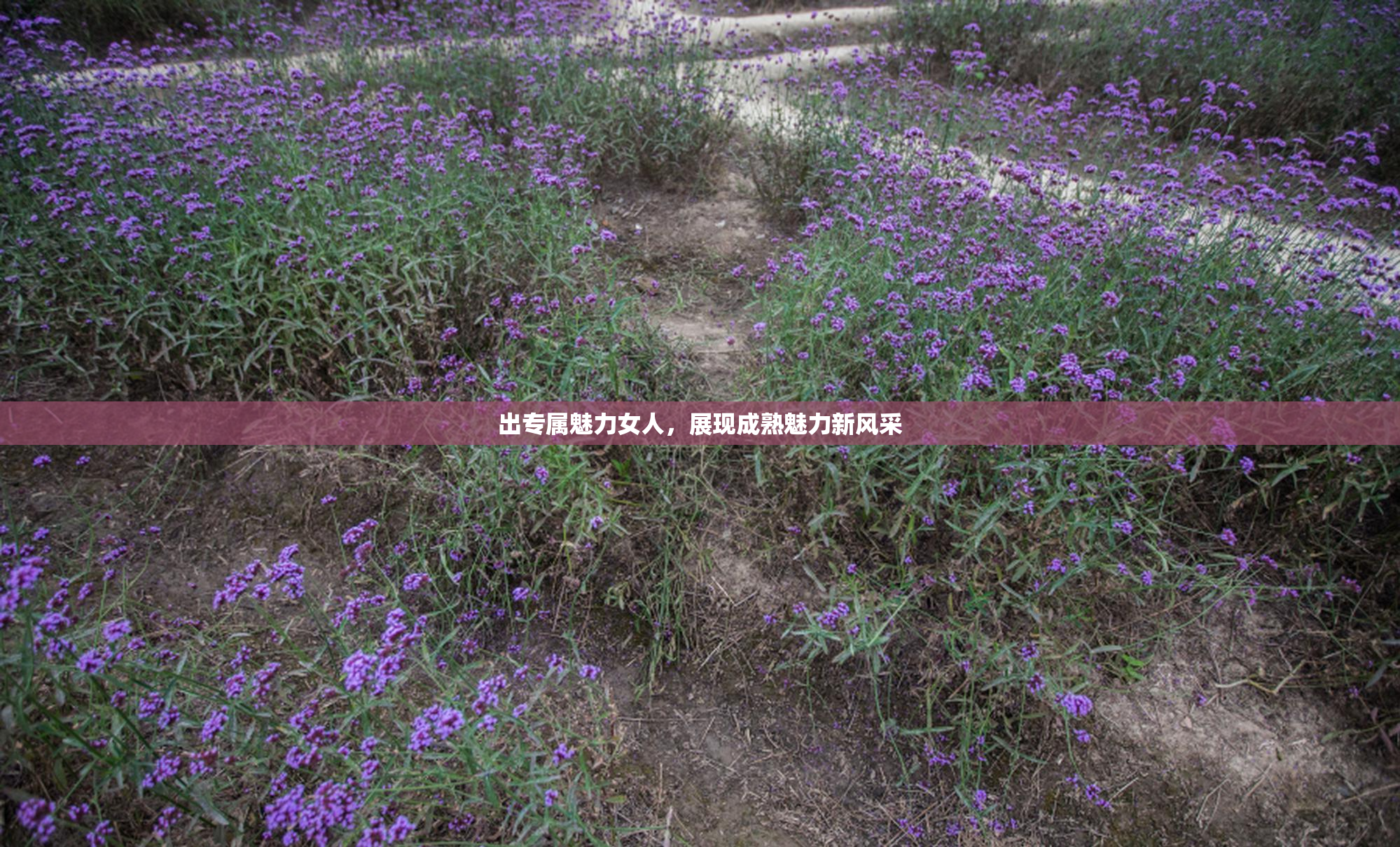 出专属魅力女人，展现成熟魅力新风采