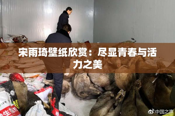 宋雨琦壁纸欣赏：尽显青春与活力之美
