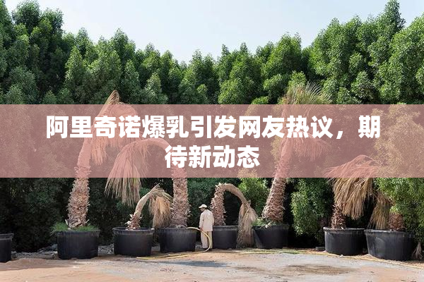 阿里奇诺爆乳引发网友热议，期待新动态