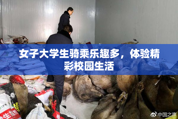 女子大学生骑乘乐趣多，体验精彩校园生活