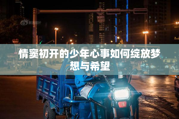 情窦初开的少年心事如何绽放梦想与希望