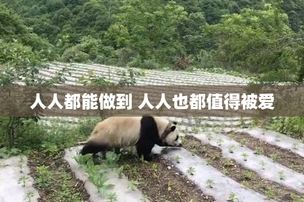 人人都能做到 人人也都值得被爱