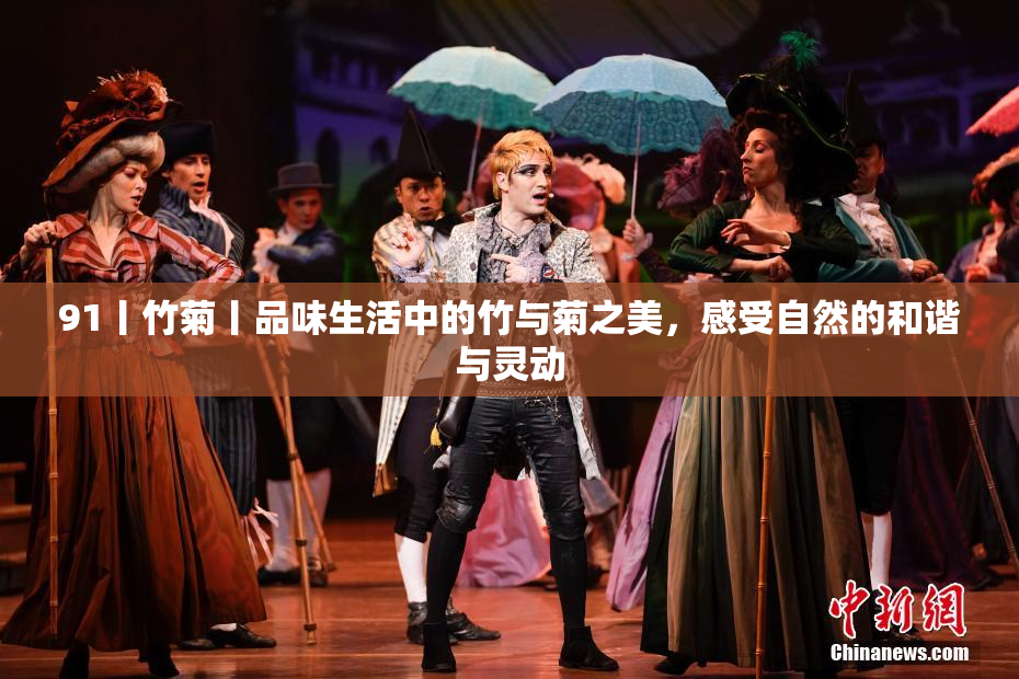 91丨竹菊丨品味生活中的竹与菊之美，感受自然的和谐与灵动