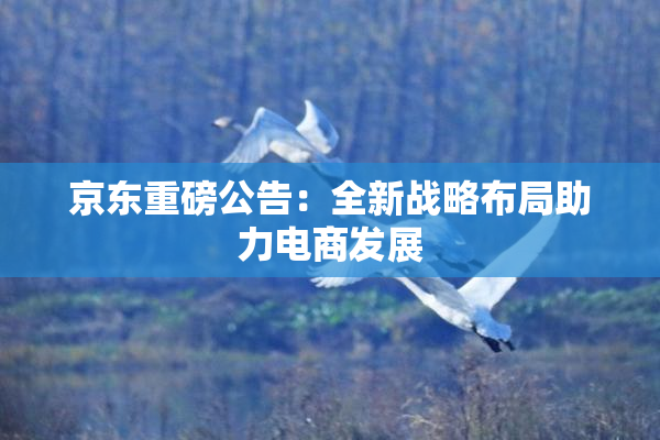 京东重磅公告：全新战略布局助力电商发展