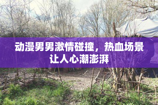 动漫男男激情碰撞，热血场景让人心潮澎湃