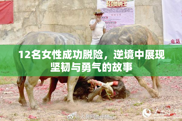12名女性成功脱险，逆境中展现坚韧与勇气的故事