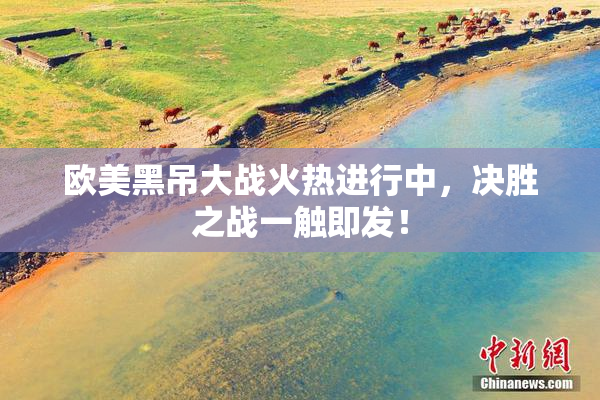 欧美黑吊大战火热进行中，决胜之战一触即发！