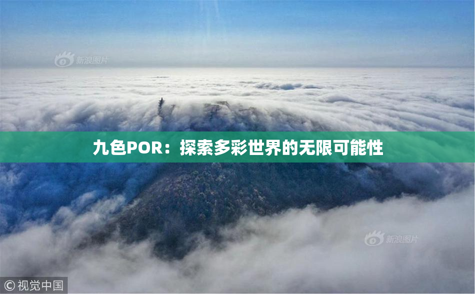 九色POR：探索多彩世界的无限可能性
