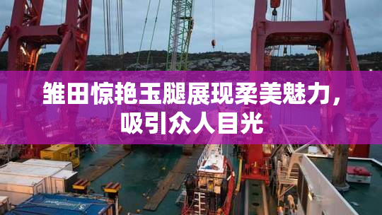 雏田惊艳玉腿展现柔美魅力，吸引众人目光