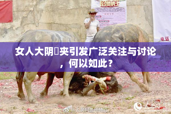 女人大阴脣夹引发广泛关注与讨论，何以如此？