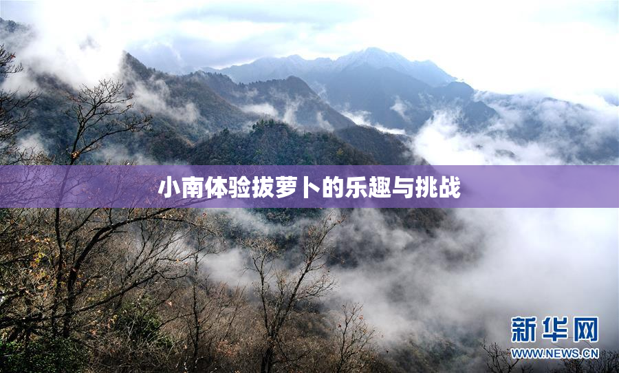 小南体验拔萝卜的乐趣与挑战