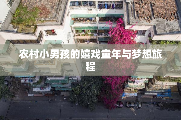 农村小男孩的嬉戏童年与梦想旅程