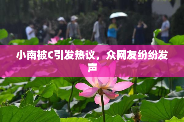 小南被C引发热议，众网友纷纷发声