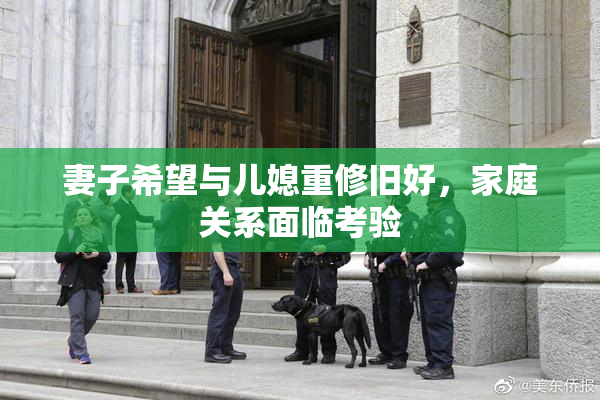 妻子希望与儿媳重修旧好，家庭关系面临考验