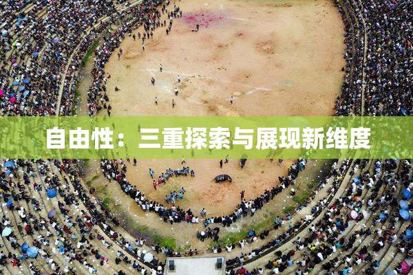 自由性：三重探索与展现新维度