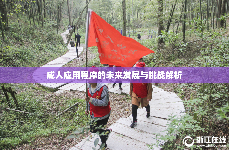 成人应用程序的未来发展与挑战解析
