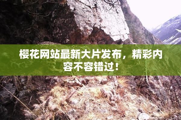 樱花网站最新大片发布，精彩内容不容错过！