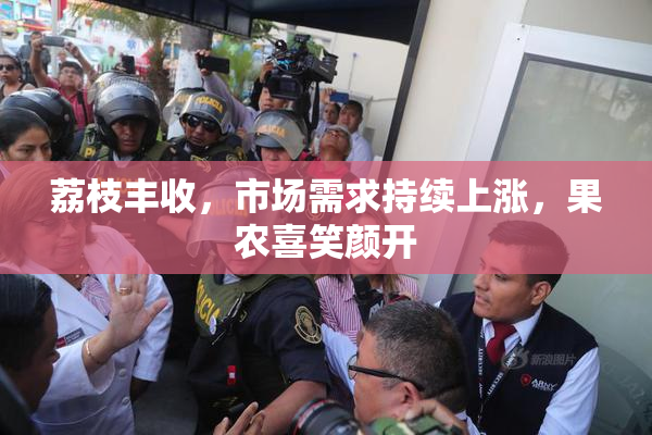 荔枝丰收，市场需求持续上涨，果农喜笑颜开