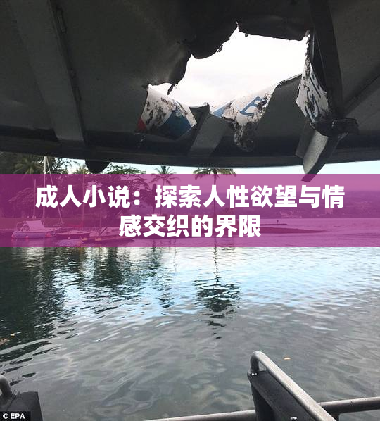 成人小说：探索人性欲望与情感交织的界限