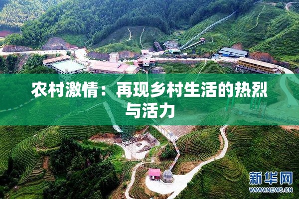 农村激情：再现乡村生活的热烈与活力