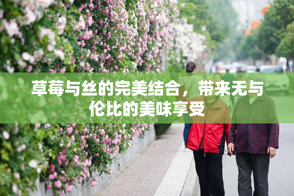 草莓与丝的完美结合，带来无与伦比的美味享受