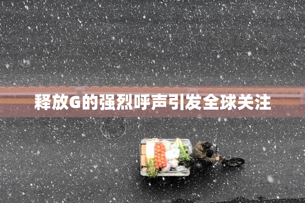 释放G的强烈呼声引发全球关注