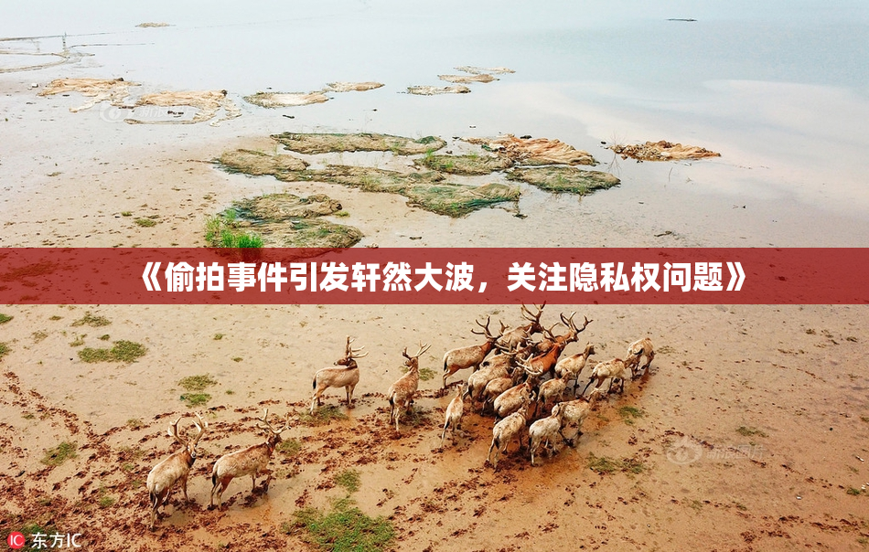 《偷拍事件引发轩然大波，关注隐私权问题》