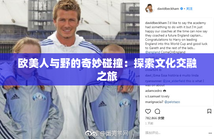欧美人与野的奇妙碰撞：探索文化交融之旅