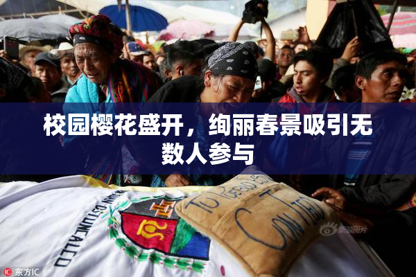 校园樱花盛开，绚丽春景吸引无数人参与