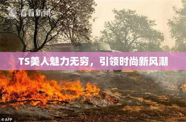 TS美人魅力无穷，引领时尚新风潮
