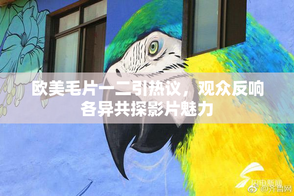 欧美毛片一二引热议，观众反响各异共探影片魅力