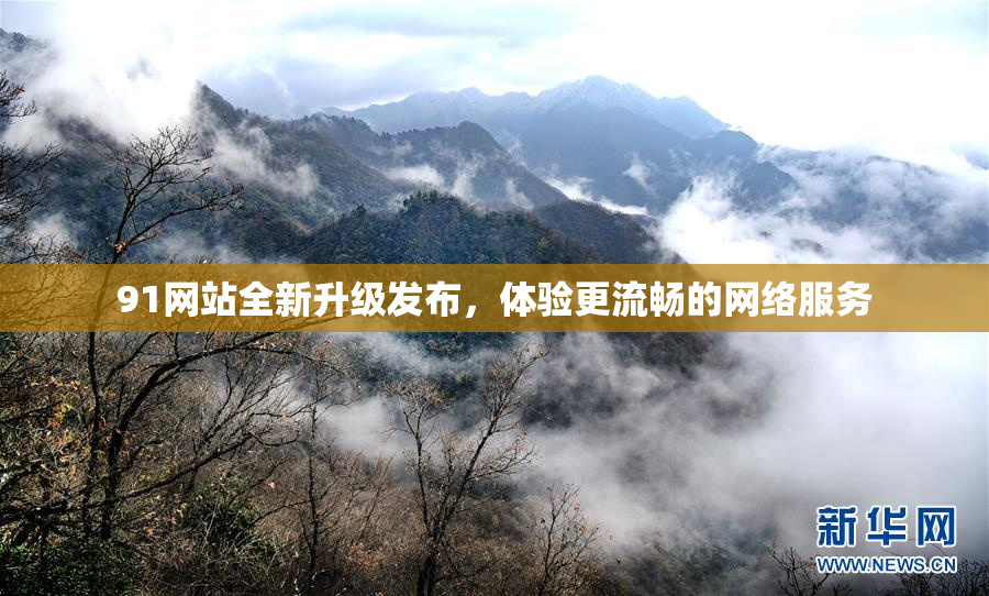91网站全新升级发布，体验更流畅的网络服务
