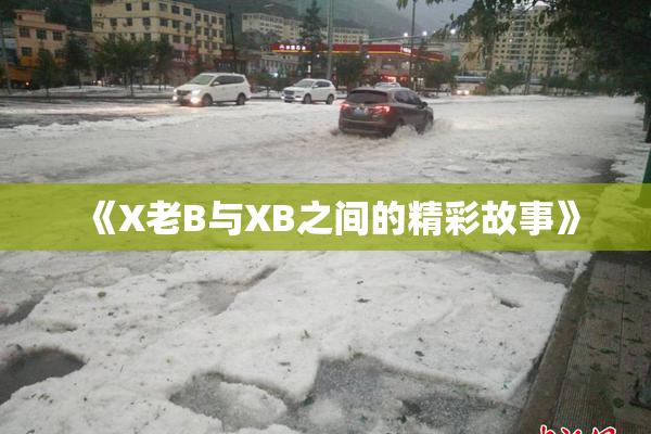 《X老B与XB之间的精彩故事》