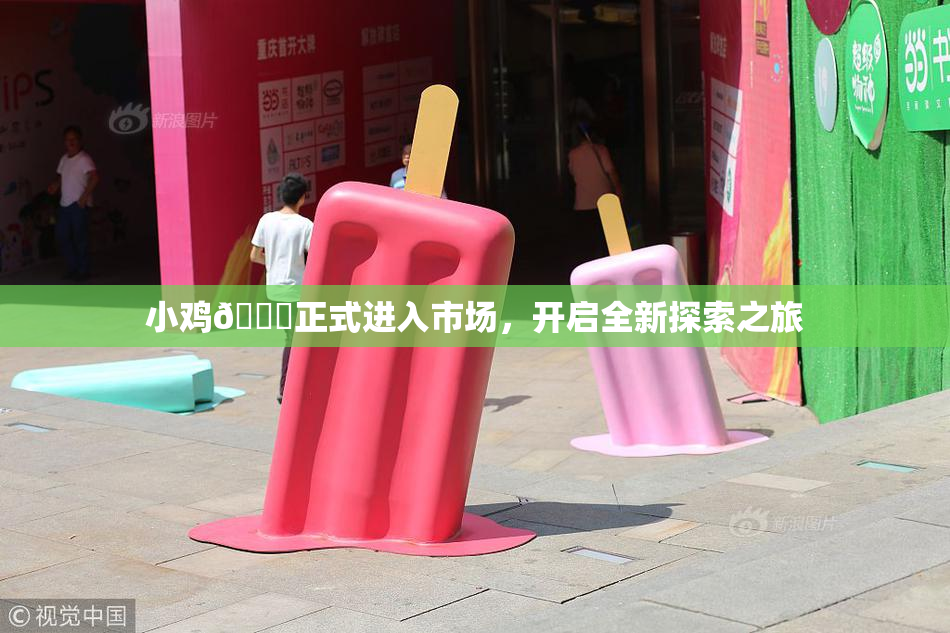 小鸡🐔正式进入市场，开启全新探索之旅
